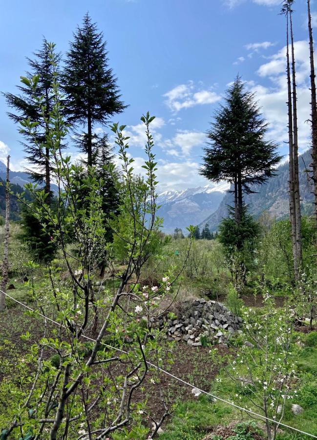 Getaway Stays Manali ภายนอก รูปภาพ